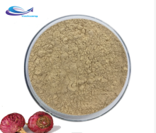 water soluble raw red maca root extract powder