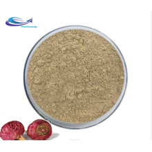 water soluble raw red maca root extract powder