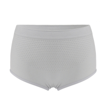 Seamless Nylon Comfort Ladies Underwear Stocklot