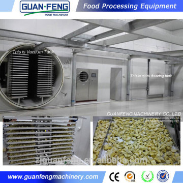 Vegetable Freeze Dryer Manufacturer/dehydration machine/Vegetable Rotary Dryer