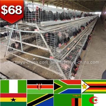 African deep galvanized 128 birds 120 birds 3 tiers battery cage