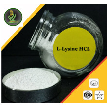 Proveedor del tiempo honorable oferta L-lisina clorhidrato