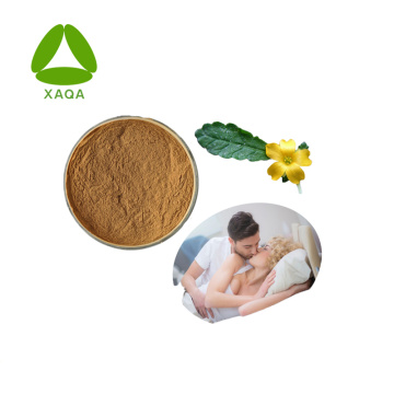 Amélioration du sexe masculin Damiana Leaf Extract Powder 10: 1