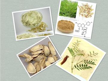 Dried Astragalus root powder ,Crude Astragalus root powder