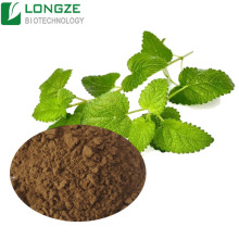 Melissa officinalis leaf extract powder
