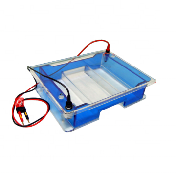 Horizontal Electrophoresis System Search Engine