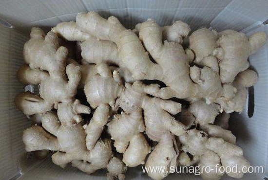 Normal Air Dried Ginger