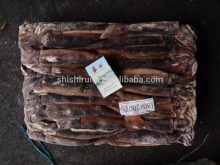 Illex Argentinus Squid Frozen Seafood