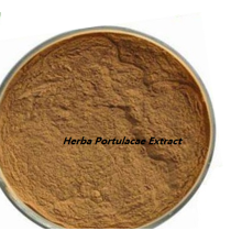 Factory price organic Herba Portulacae oleracea Extract