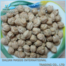 Chick Pea from Xinjiang Province of China, reasonable price