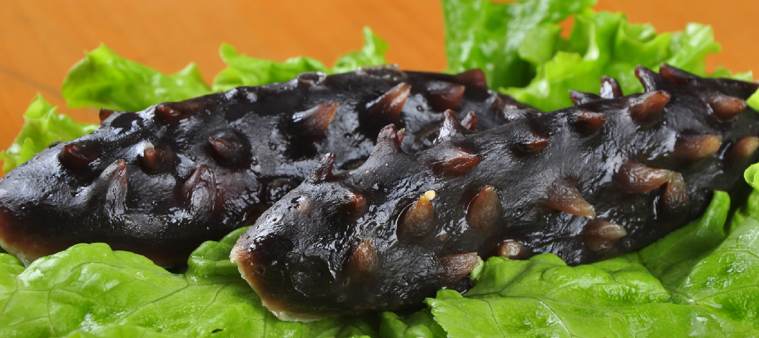 Sea-cucumber-peptide-market Sea-cucumber-peptide-market