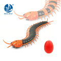 Télécommande infrarouge centipede rc jouet d&#39;insecte