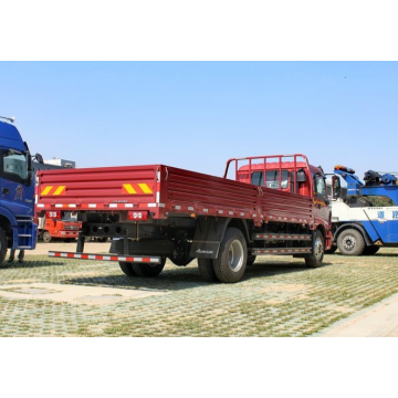 BRAND NEW FOTON CARGO TRUCK HAND DRIVE TANGAN