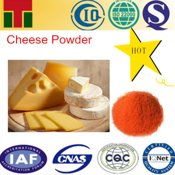 Cheese Seasoning Powder/Cheese Flavor Powder