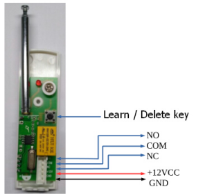 FBMC619-1