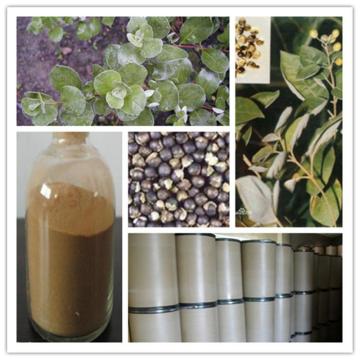 100% pure natural Vitex Agnus-castus extract/Chaste tree berry extract 5% HPLC vitexin