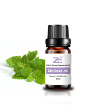 Premium Quality Melissa essential oil bulk for sale