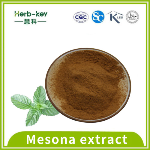 Containing polysaccharide 10:1 Mesona extract