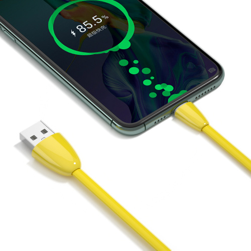 Nouveau câble de charge de type C