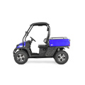 4x4 400cc utv efi nebeneinander ePA