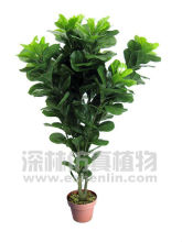 High Quality Home Decorative Artificial Plumeria Flowers