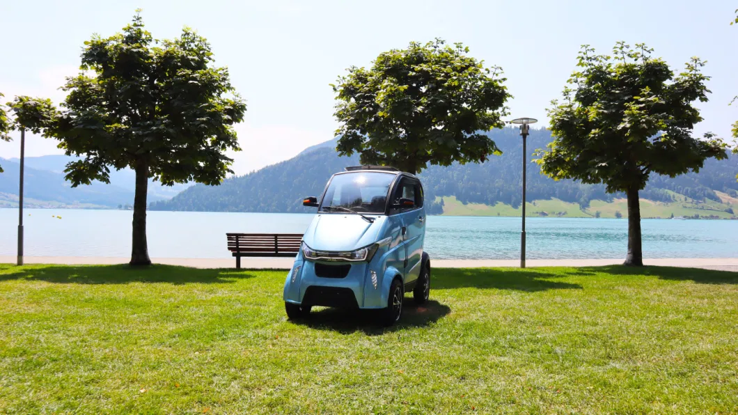 New Arrival Adult Electric Car with L6e Coc