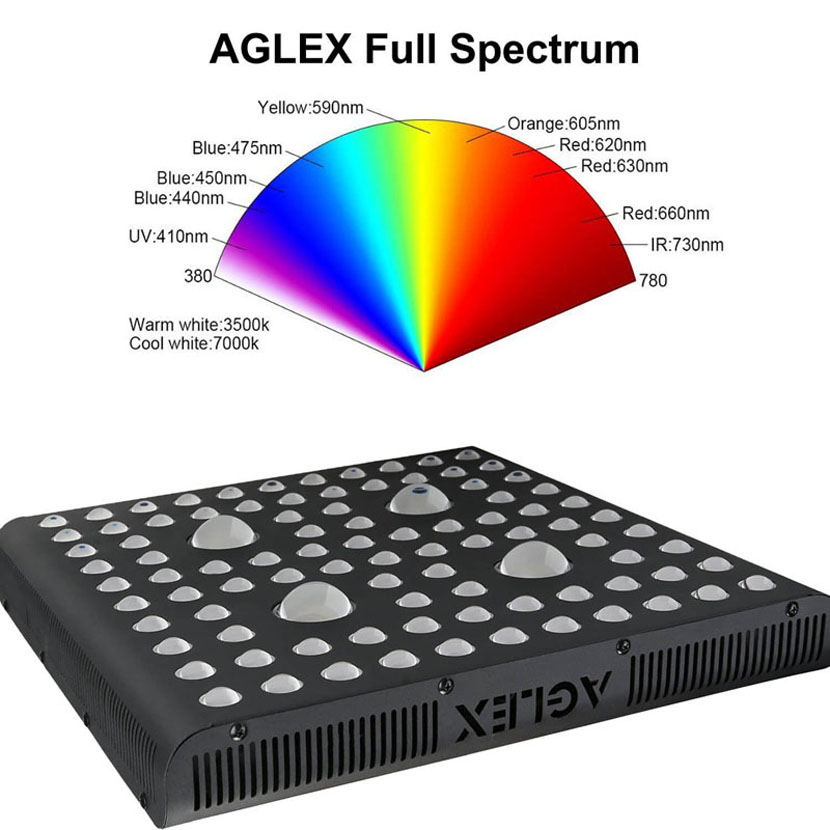 2000 W COB LED Crescer Light Spectrum Completo