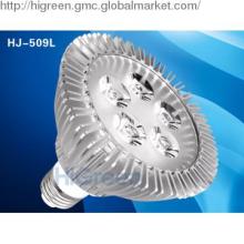 LED PAR Bulb