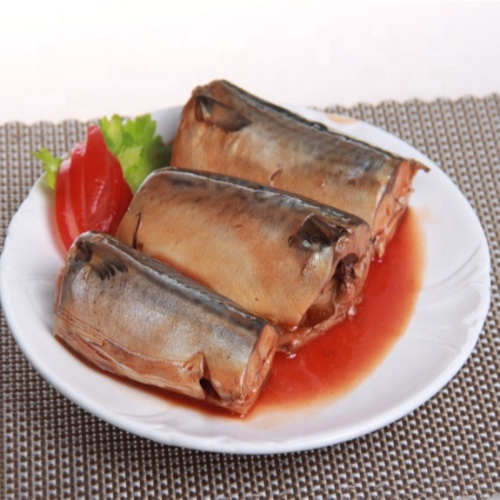 Mackerel Can In Tomato Sauce