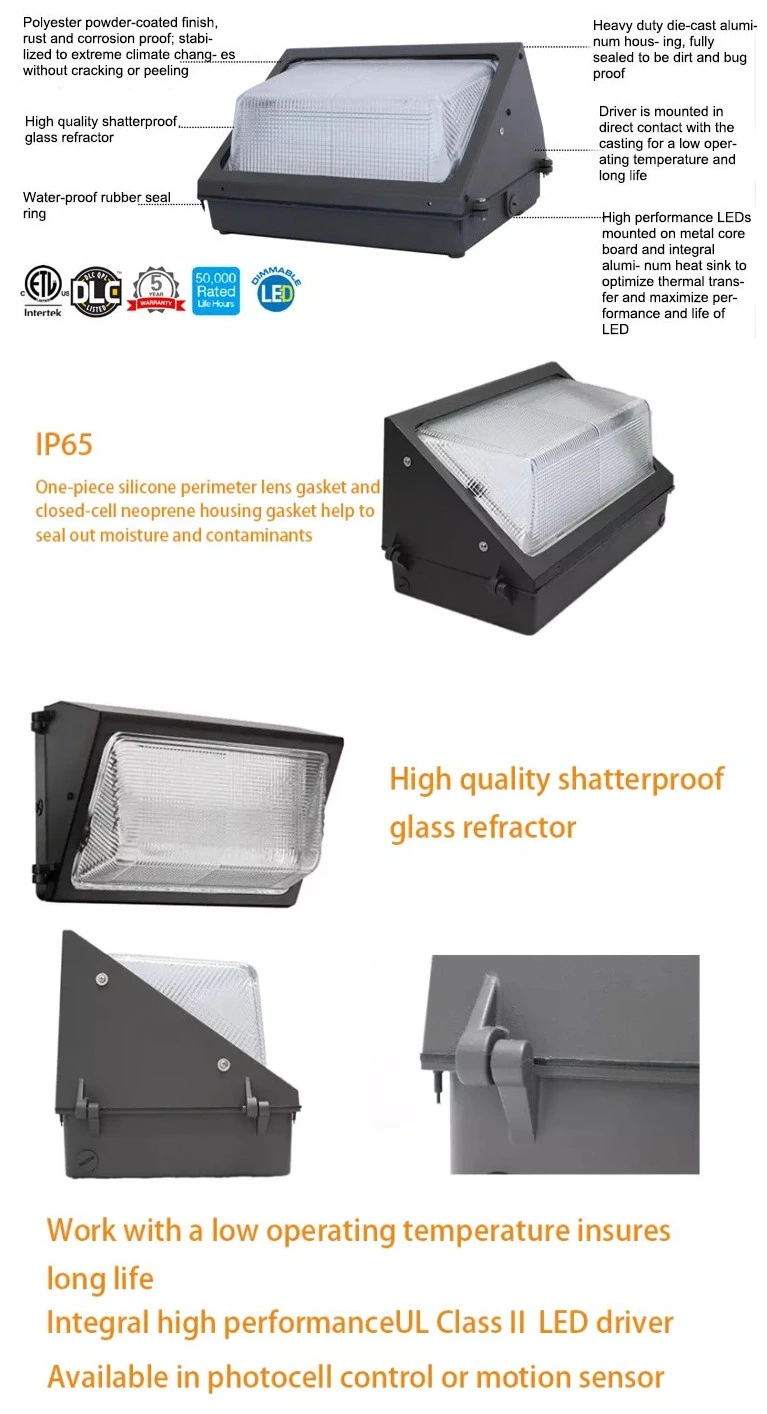 60W 80W 100W 120W Waterproof IP66 LED Wall Pack Light