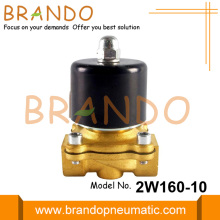 2W160-10 3/8 &#39;&#39; Elektrikli Pirinç Su Solenoid Valfı 24V