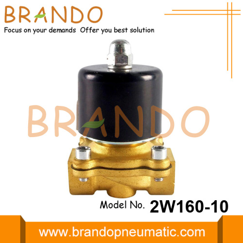 2W160-10 3/8 &#39;&#39; Elektrikli Pirinç Su Solenoid Valfı 24V