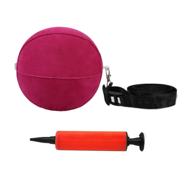 Tour Striker Golf Smart Ball: Golf Swing Training Ball