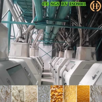 Maize meal production processing plant/super maize meal machine