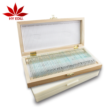 Chick Embryo Microscope Slides for Higher Education