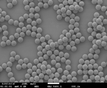 Reversed Phased Polymeric Resin InVent PS 8