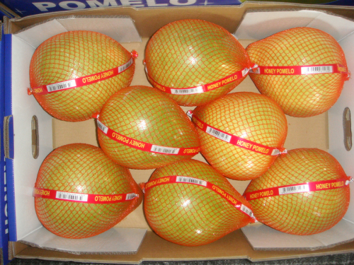 Buah pomelo lezat yang manis dan segar