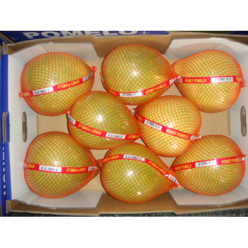 Świeży xiamen wyśmienicie pomelo