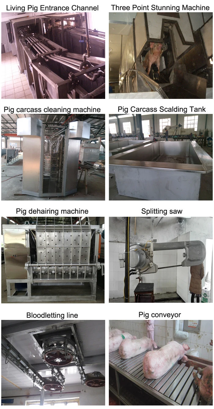 Automatic Pig Slaughterhouse Equipment with High Efficiency