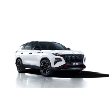 Factory Hot Selling 2024 Dongfeng Aeolus Premium Edition: Affordable Petrol-Driven Car for Adults