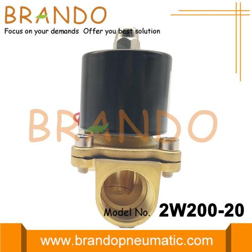 2W200-20 Doğrudan etkili NC Solenoid Valfı