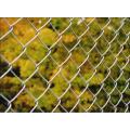 Decoration Anti Climb PVC Coated Chain Link Fence