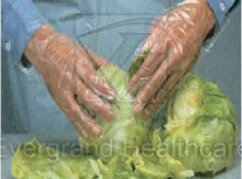 Disposable PE Gloves