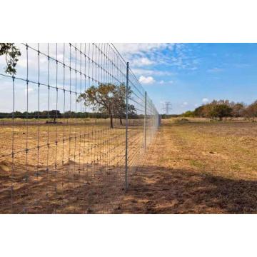 Farm And Ranch Fence