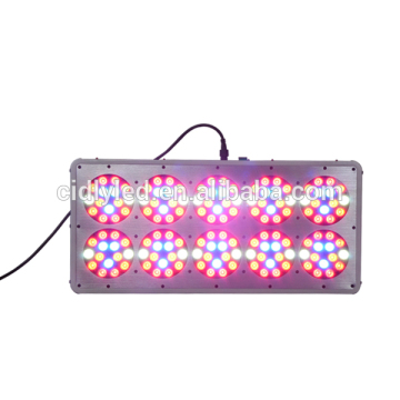 hydroponic green house LED grow light