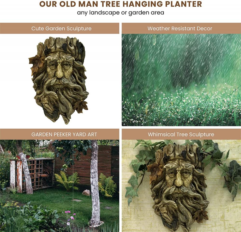 Oude man boomhangende planter