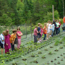 Weed Pro Landscape Fabric/Weed Block Fabric Ground Cover