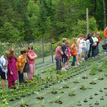 Weed Pro Landscape Fabric/Weed Block Fabric Ground Cover