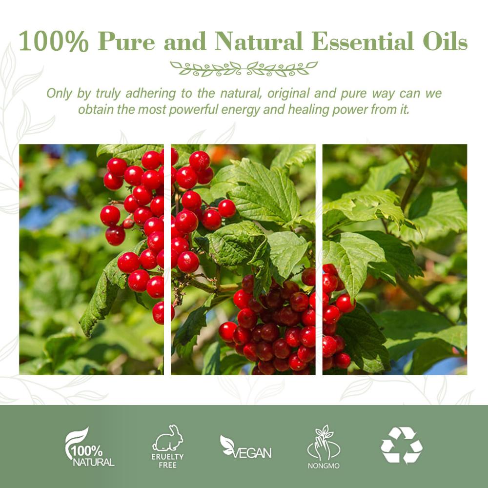 Cranberry Seed Oil 100% Pure Premium Quality Hot Selling Product Wholesale