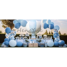 Hengyue Custom Inflatable Hot Air Spheres for Event Decoration